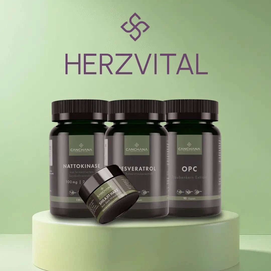 Herz-Kreislauf Balance