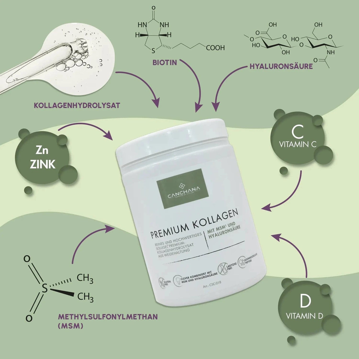 Premium Collagen