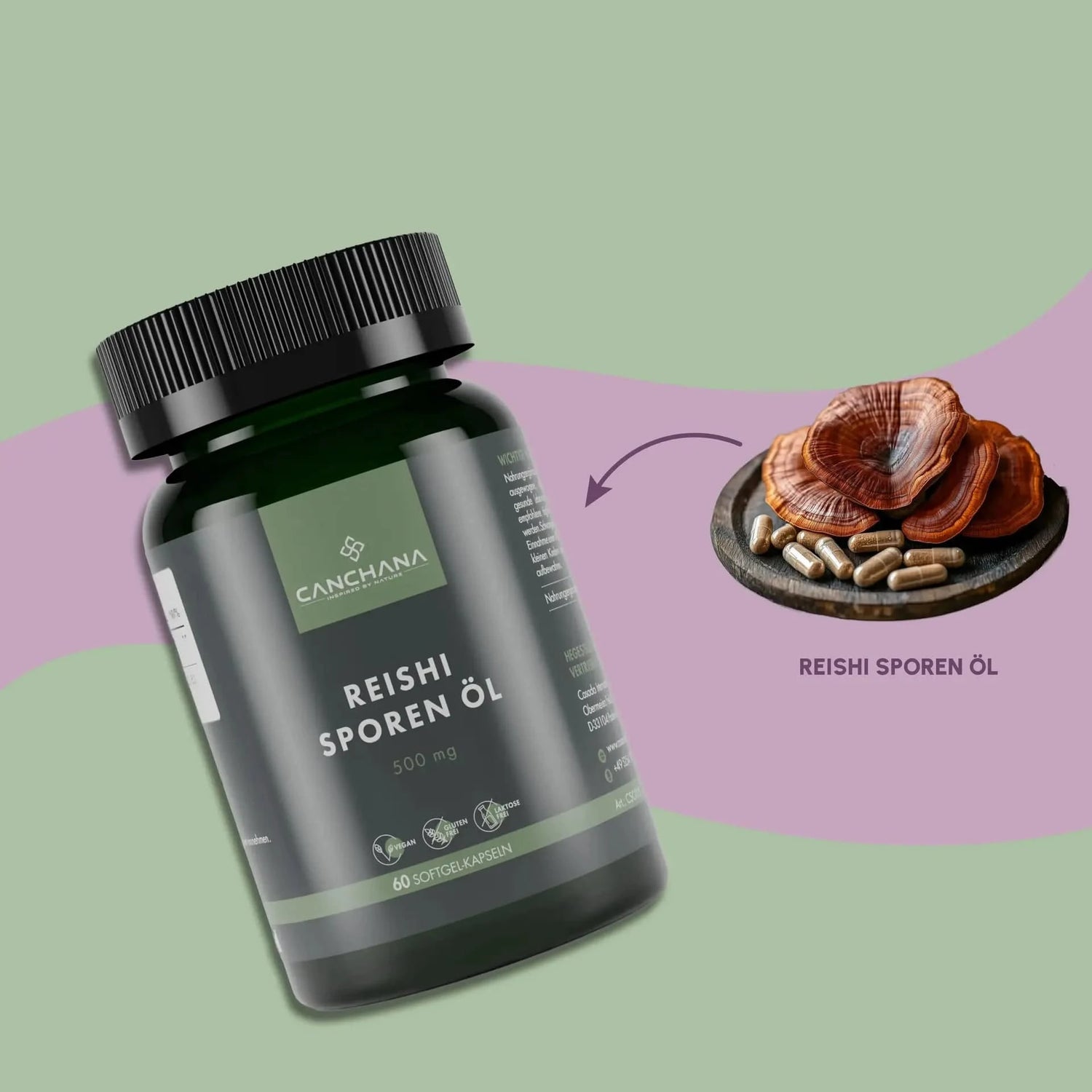 Reishi spore oil