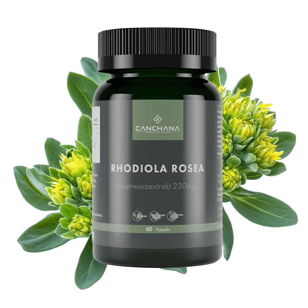 Rhodiola Rosea