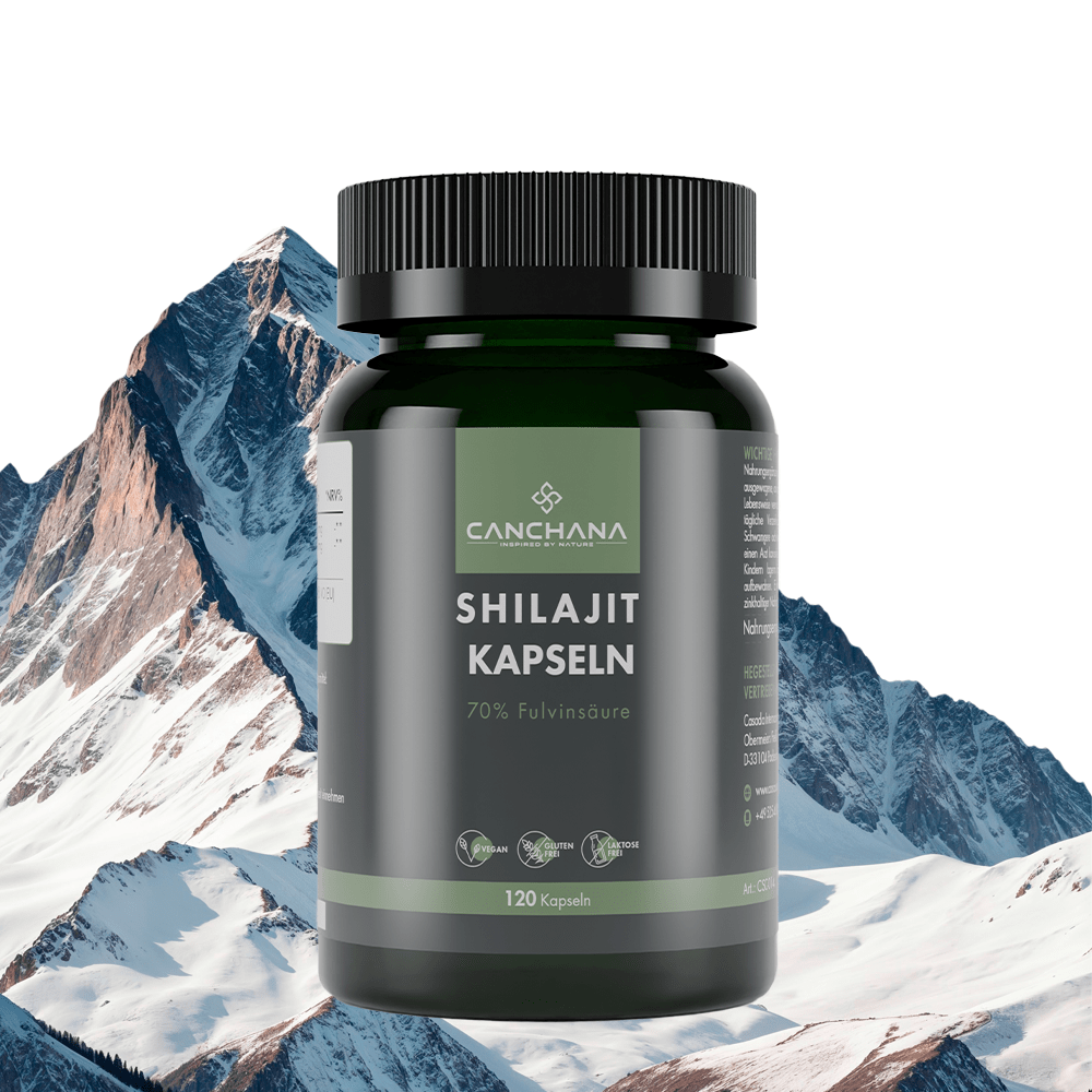 Shilajit capsules