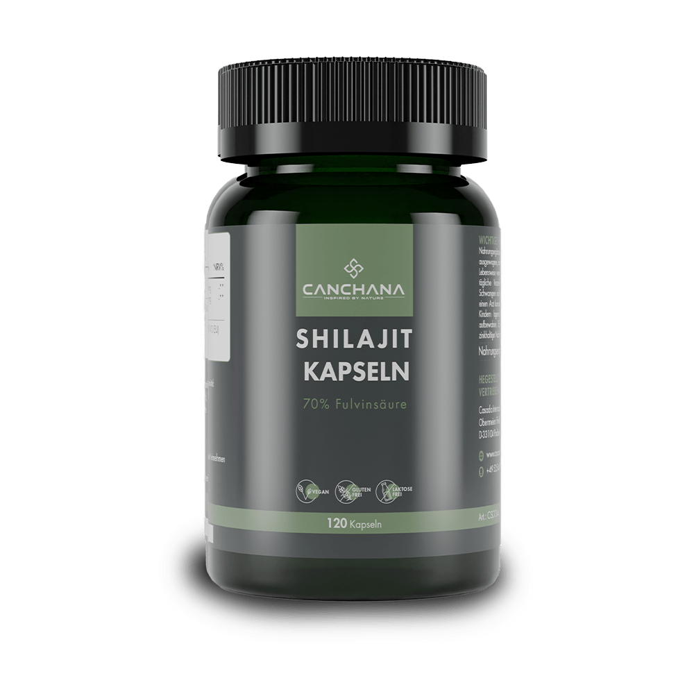 Shilajit capsules