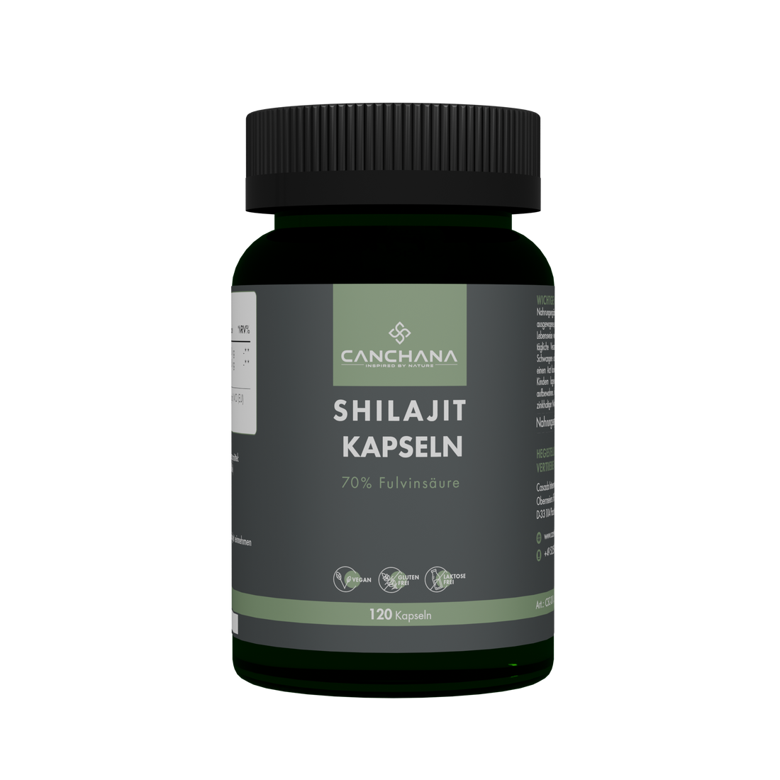 Shilajit Kapseln