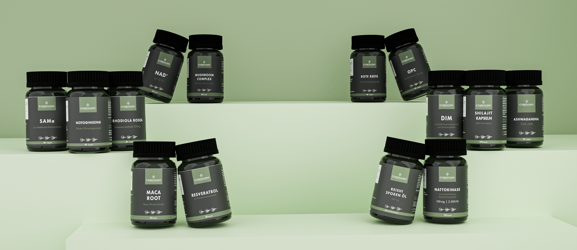 Supplement Banner Canchana